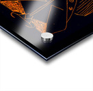  Witch Dr Acrylic print