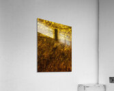 Monolith 62 copy Acrylic Print