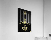 Spiderdrop Acrylic Print