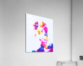image 79 Acrylic Print