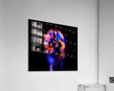 image 190 Acrylic Print