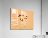 image 110 Acrylic Print