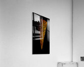 image 306 Acrylic Print