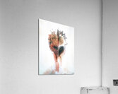 McWolf Acrylic Print