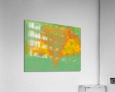 image 428 Acrylic Print