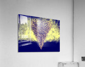 image 436 Acrylic Print