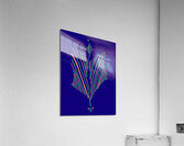image 504 Acrylic Print