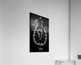 image 1155 Acrylic Print