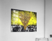 image 437 Acrylic Print