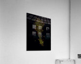 image 1296 Acrylic Print