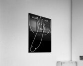 image 1065 Acrylic Print