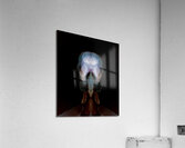 Insect Head Acrylic Print