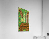 Map3 2 Acrylic Print