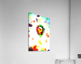 image 53 Acrylic Print