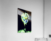  McNightWolf copy Acrylic Print