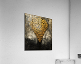 Monolith 164 Acrylic Print