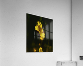  devil head 237 copy Acrylic Print