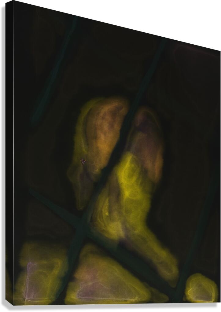 Monolith 226 copy Canvas Print