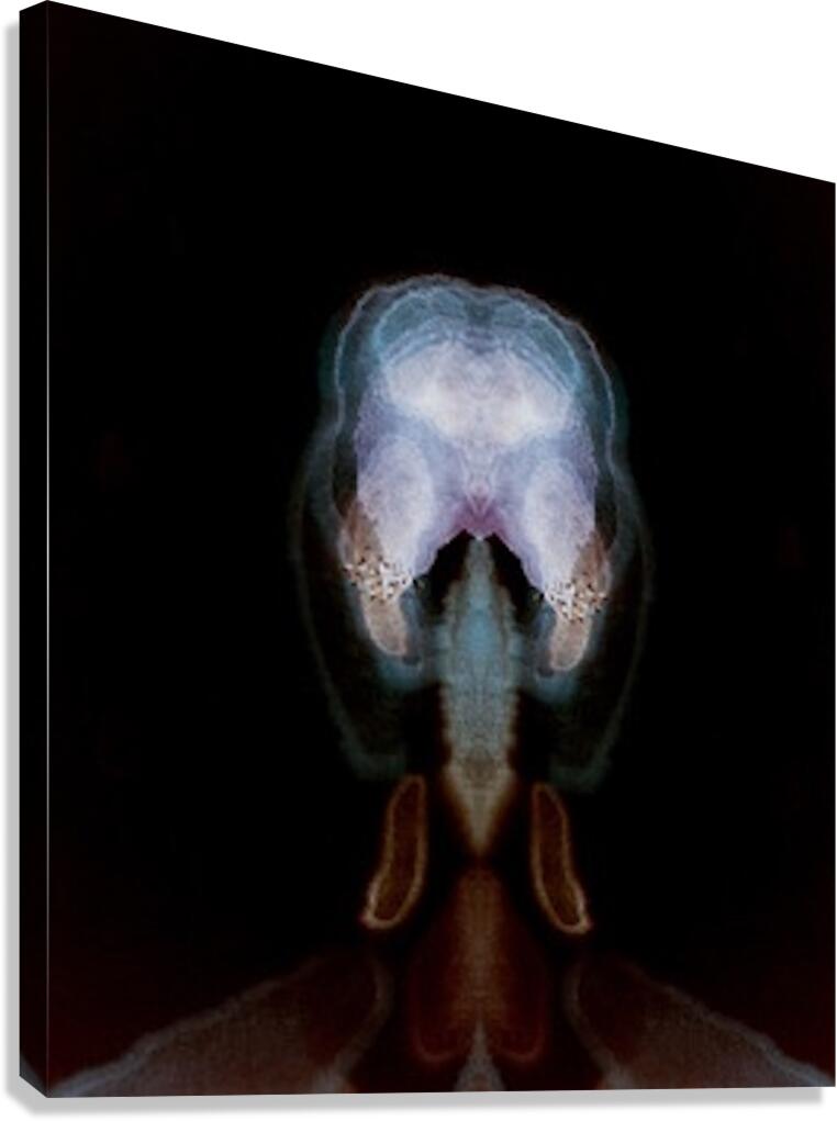 Insect Head Canvas Print