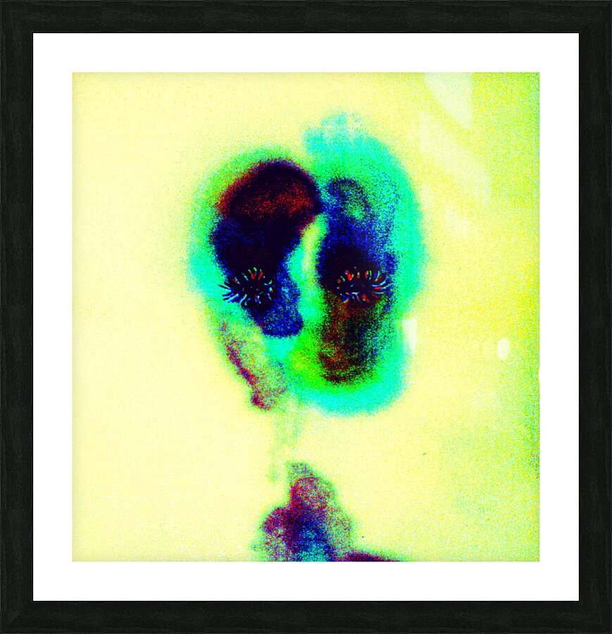image 89 Picture Frame print
