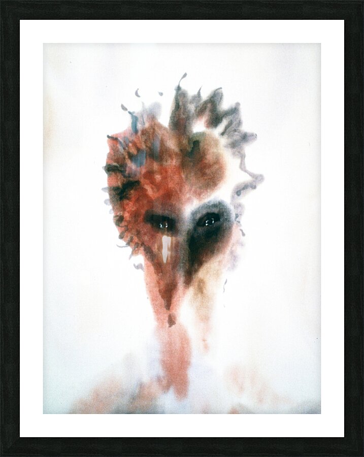McWolf Picture Frame print