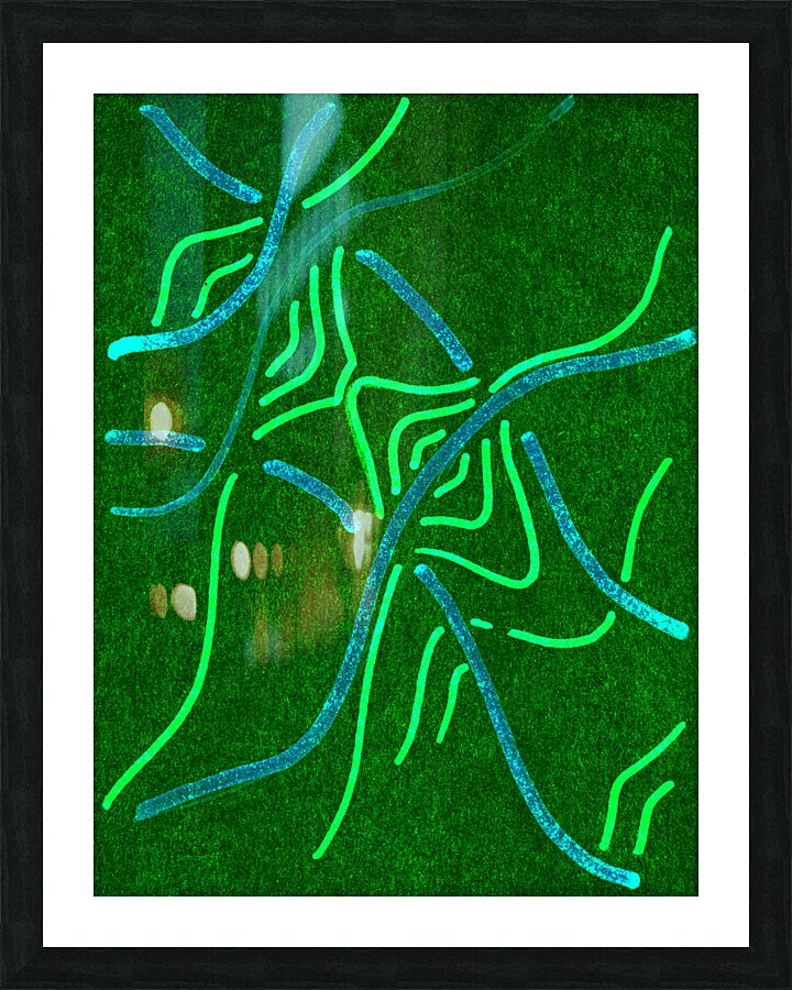 image 559 Picture Frame print