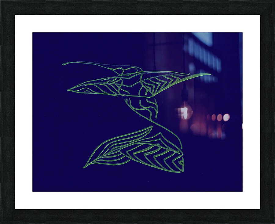 image 1497 Picture Frame print