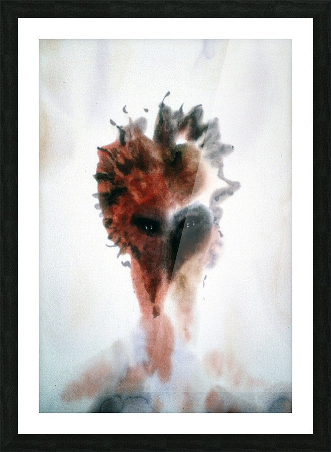 McWolf Picture Frame print