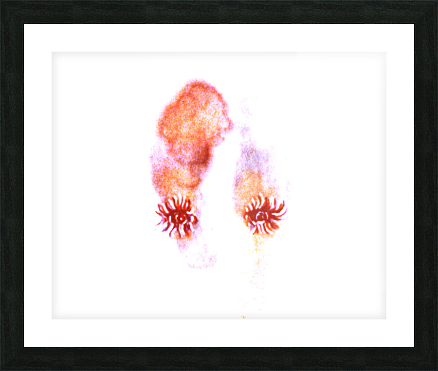 image 112 Picture Frame print