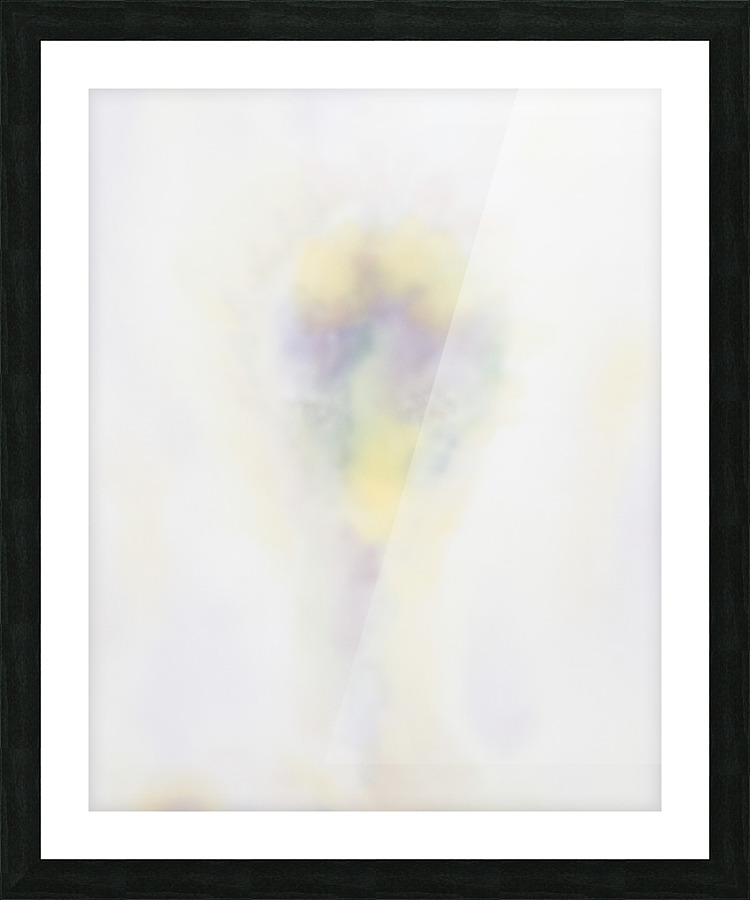 Avianhead 254 Picture Frame print