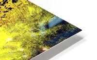 image 437 HD Metal print