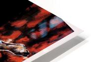 Captured Muse1 copy 12 HD Metal print