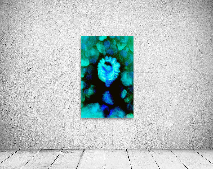 image 50 Wall Preview