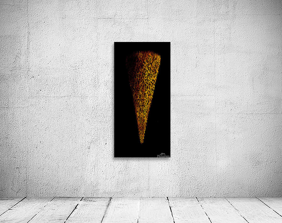 image 306 Wall Preview