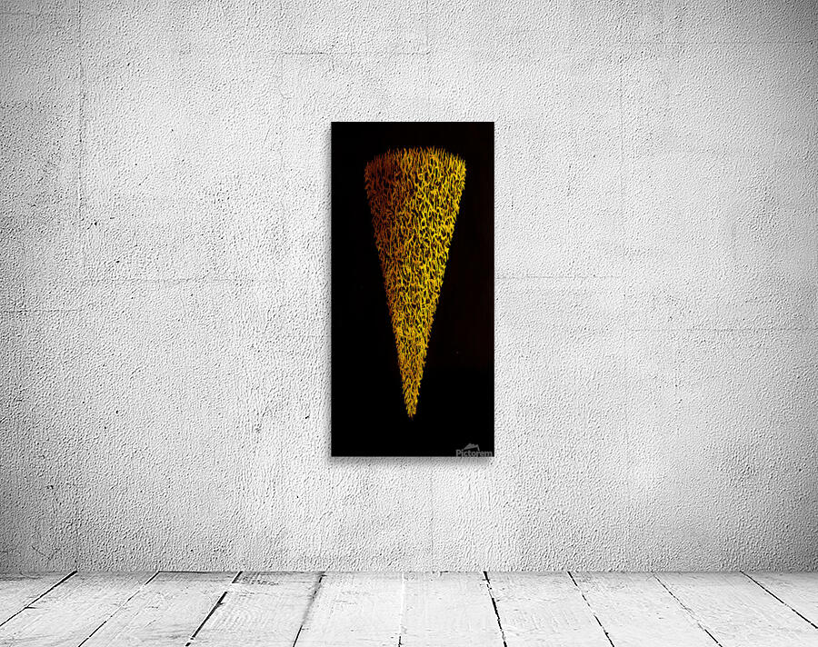 image 285 Wall Preview
