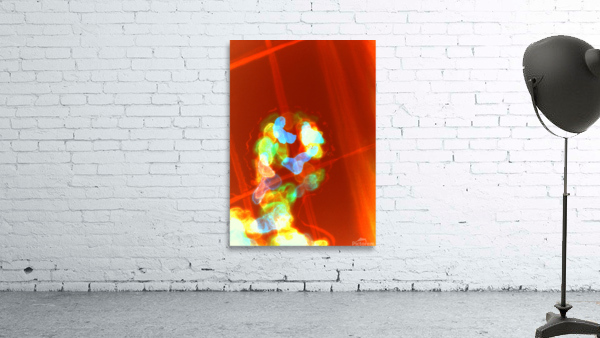 image 338 Wall Preview
