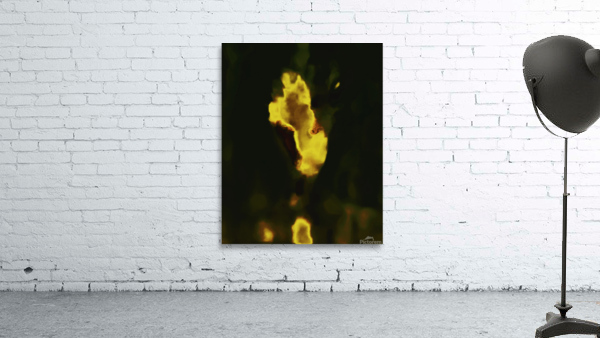  devil head 237 copy Wall Preview