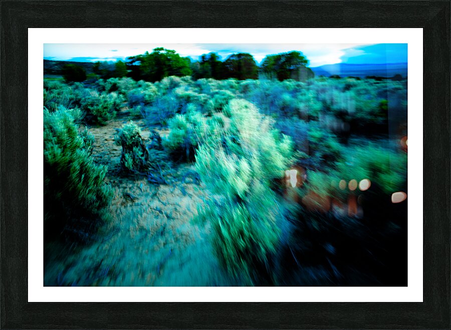 Sage Tropic 7068 Picture Frame print