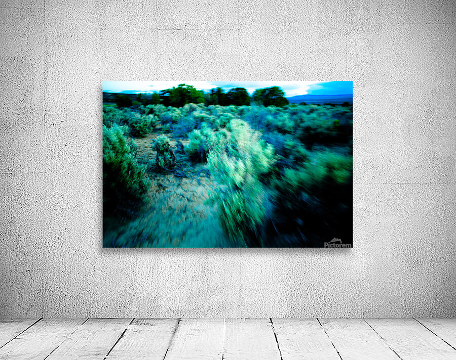 Sage Tropic 7068 Wall Preview