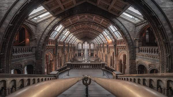 Natural History Museum London | Grand Interior Architecture Photography Digital Download