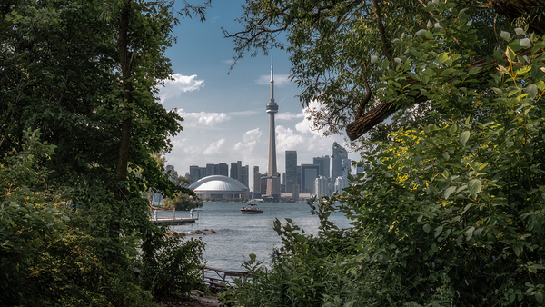 Urban Nature | Toronto Cityscape Through Green Foliage Digital Download