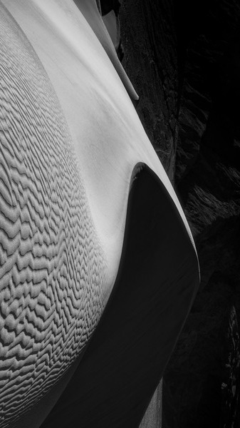 Mesquite Flatdunes Death Valley National Park Téléchargement Numérique