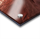 Winding Canyon Passage | Leprechaun Canyon Landscape Print Acrylic print