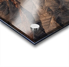 Factory Butte Utah | Erosion and Texture in Desert Landscape Impression Acrylique