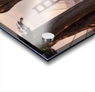 Golden Gate View Acrylic print