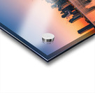 Chicago Illinois  Acrylic print