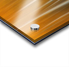 Birch Tree Forest Wyoming Impression Acrylique