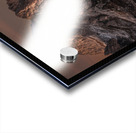 Planet Mars Acrylic print