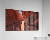 Winding Canyon Passage | Leprechaun Canyon Landscape Print Acrylic Print