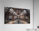 Natural History Museum London | Grand Interior Architecture Photography Acrylic Print